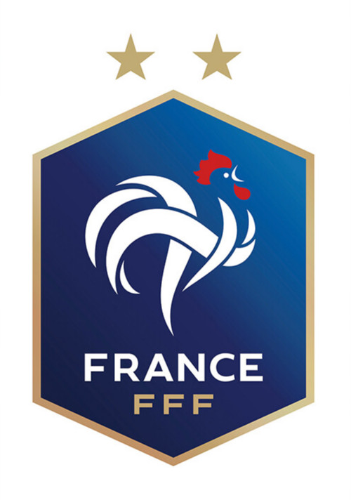 潘帕斯雄鹰最佳反击世界杯决赛,世界杯高卢雄鸡对红魔