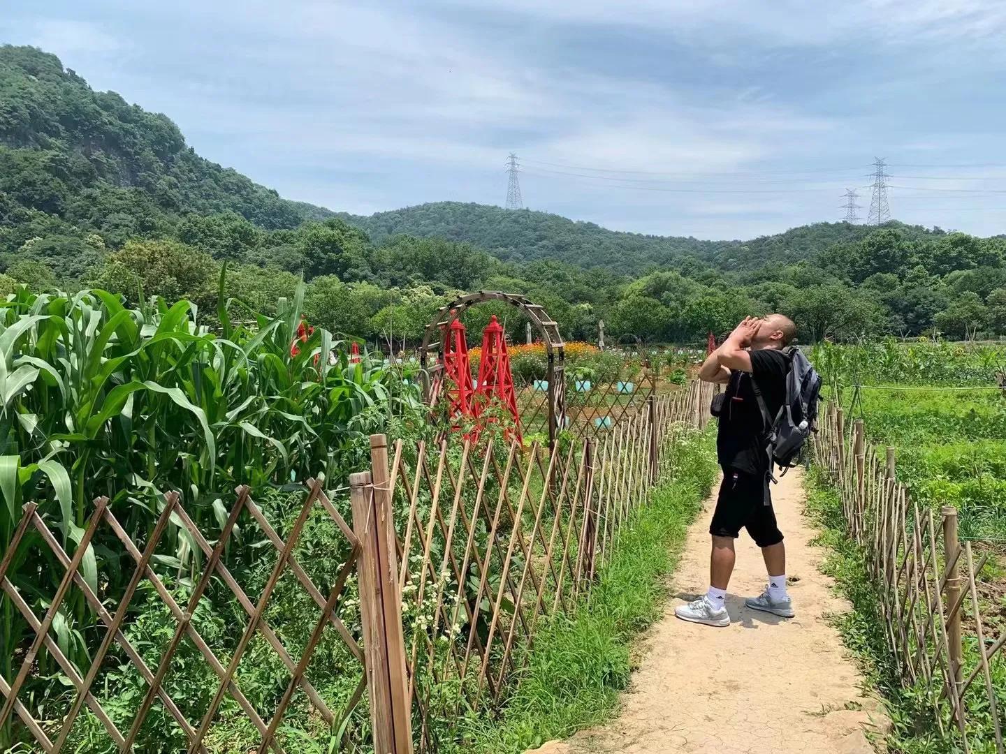 杭州八卦田遗址规划,杭州八卦田遗址公园有什么可以玩