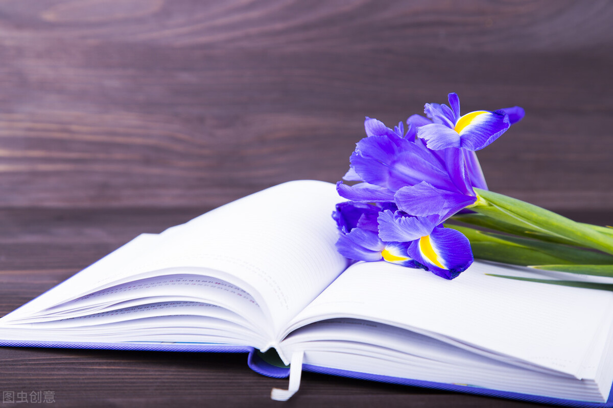 睡觉前发朋友圈的晚安句子高情商,睡觉前发的幽默晚安的句子