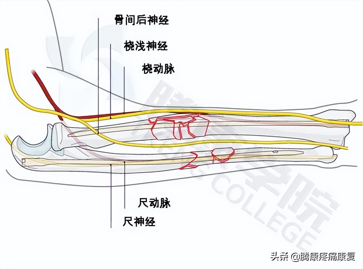 右肩与胳膊连接处疼痛是什么原因,胳膊向后抬疼痛是什么原因引起的