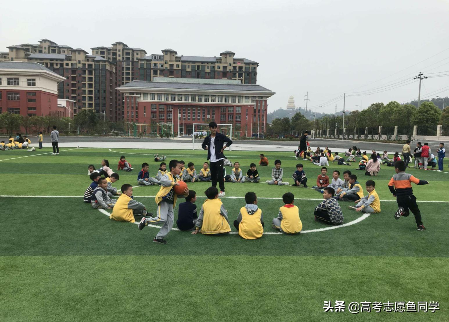 师范类专业的就业形势和就业政策,师范专业就业前景及待遇