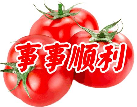 早上好表情包可爱早安问候语,微信群最流行早安表情包