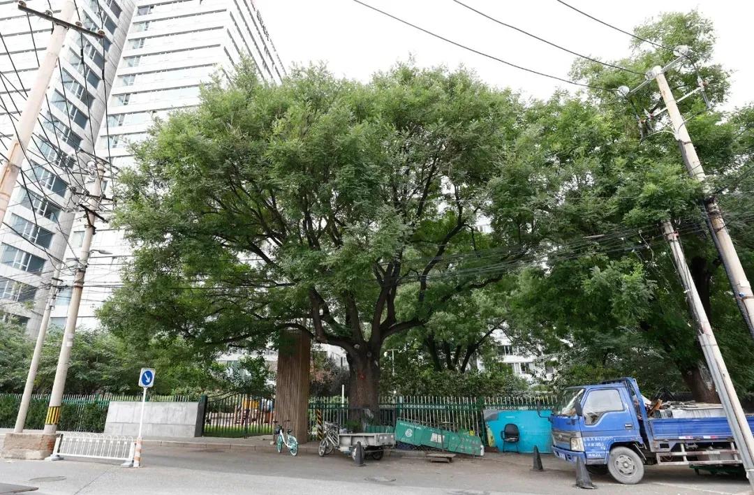 北京市西城区西直门南小街1号,北京市西城区西直门南小街186号