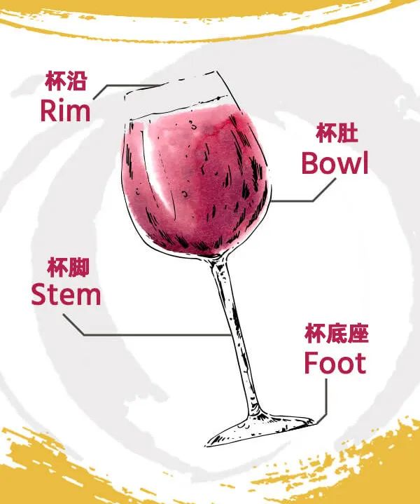 葡萄酒杯的种类有多少种,葡萄酒杯分类及图解