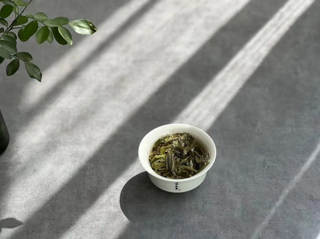 6大茶桌暗语介绍，何为回甘？何为醇厚？何为生津，一次说清