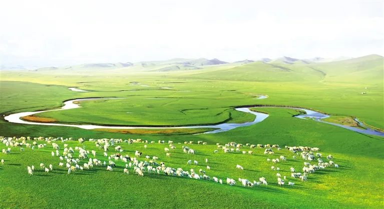 媒体聚焦｜提标提效提速创业创新创优——奋力谱写新时代呼伦贝尔文旅高质量发展精彩华章