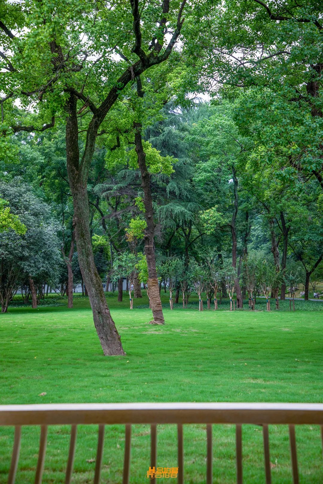 合肥之夏进度1%，期待的N个理由