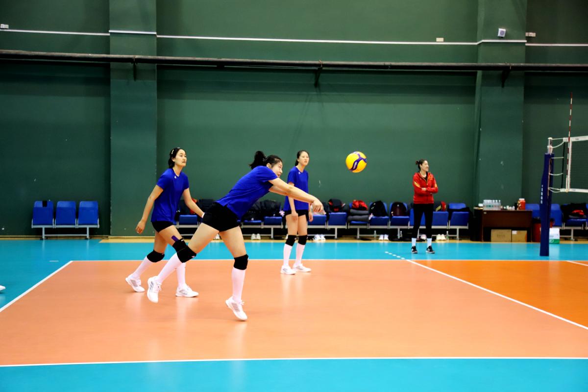 女排队员刘晓彤简历,女排国青队教练刘晓彤