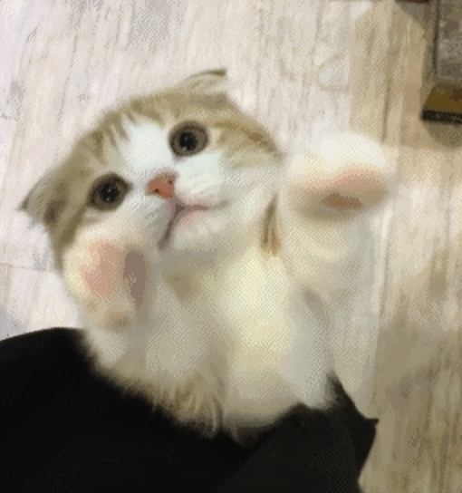 猫咪脚爪骨折能自愈吗需要多久,猫咪骨折脚能落地