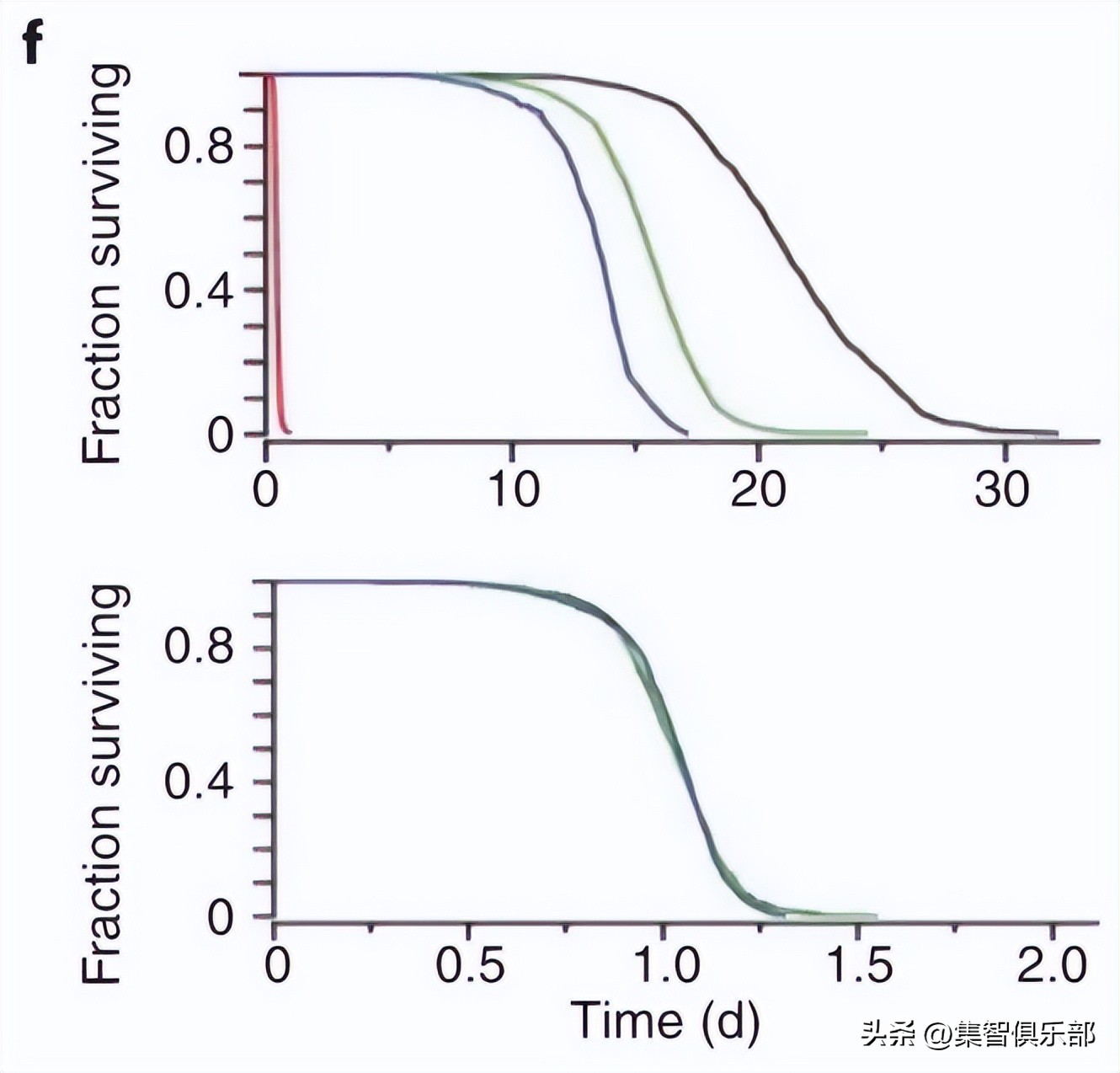 衰老分为生理性衰老和病理性衰老,衰老的特点与相关理论