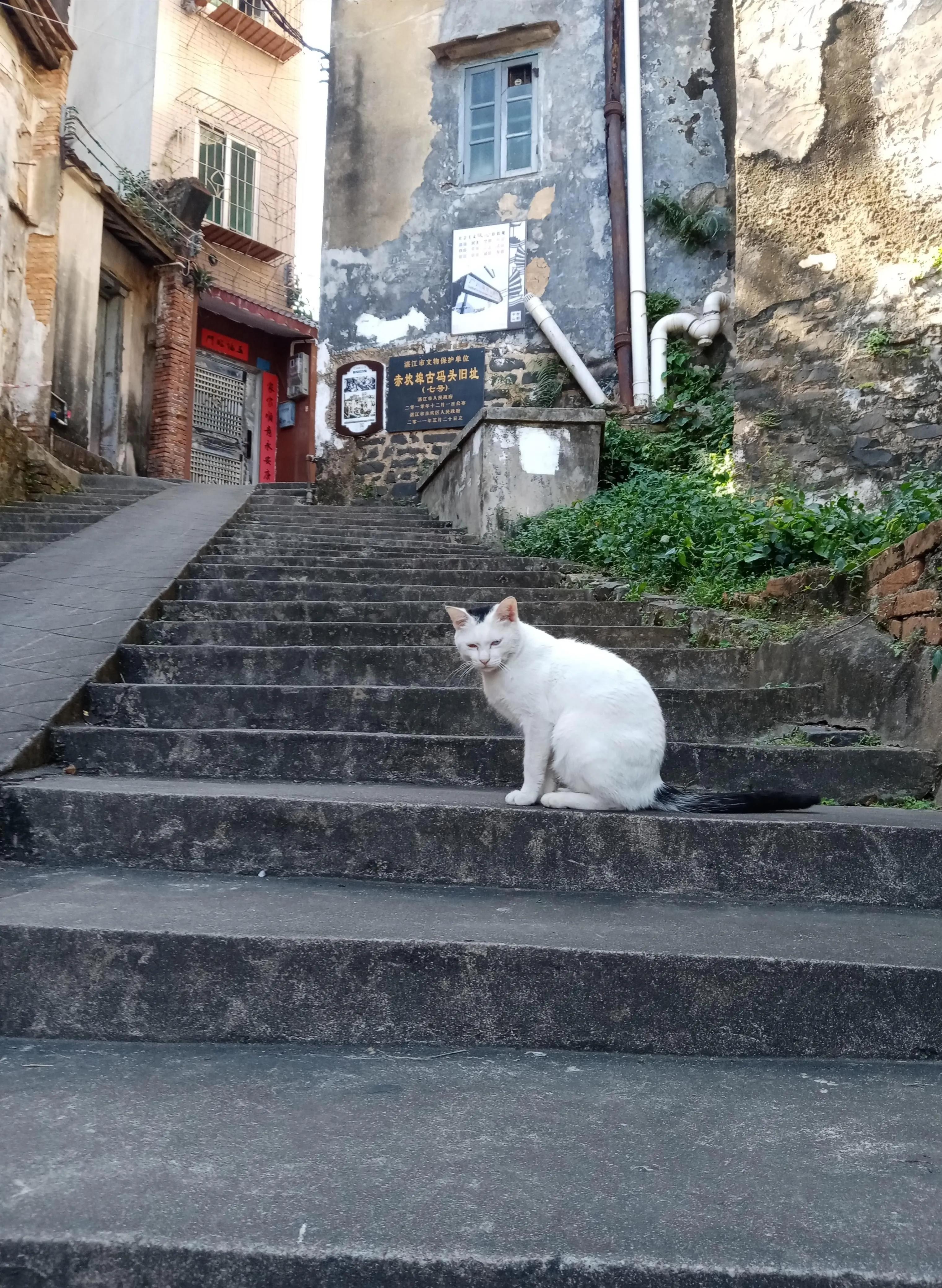 赤坎区老街旅游景点,赤坎老街美景