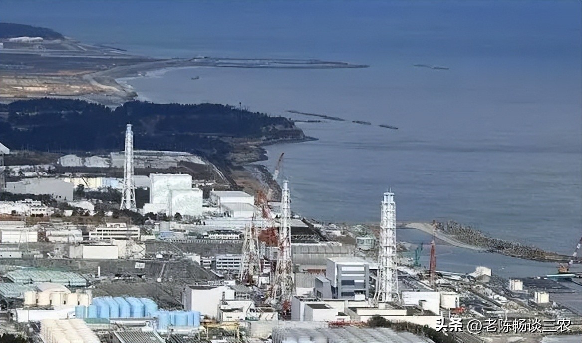 日本食品再检测出超标核辐射,日本食品安全放射物质标准