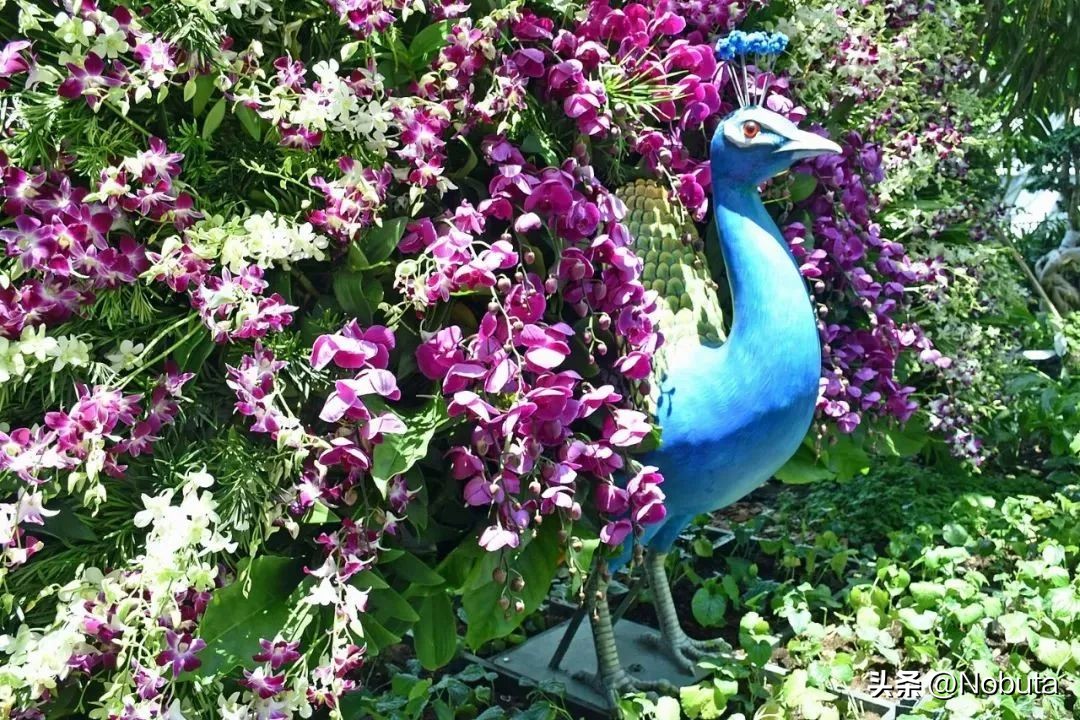 这样的飞机你敢坐吗,令人震撼的机场