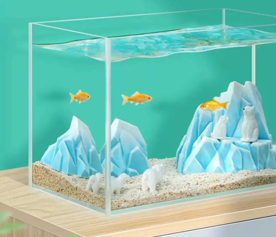 鱼缸造景师有前途吗,水族造景师收入