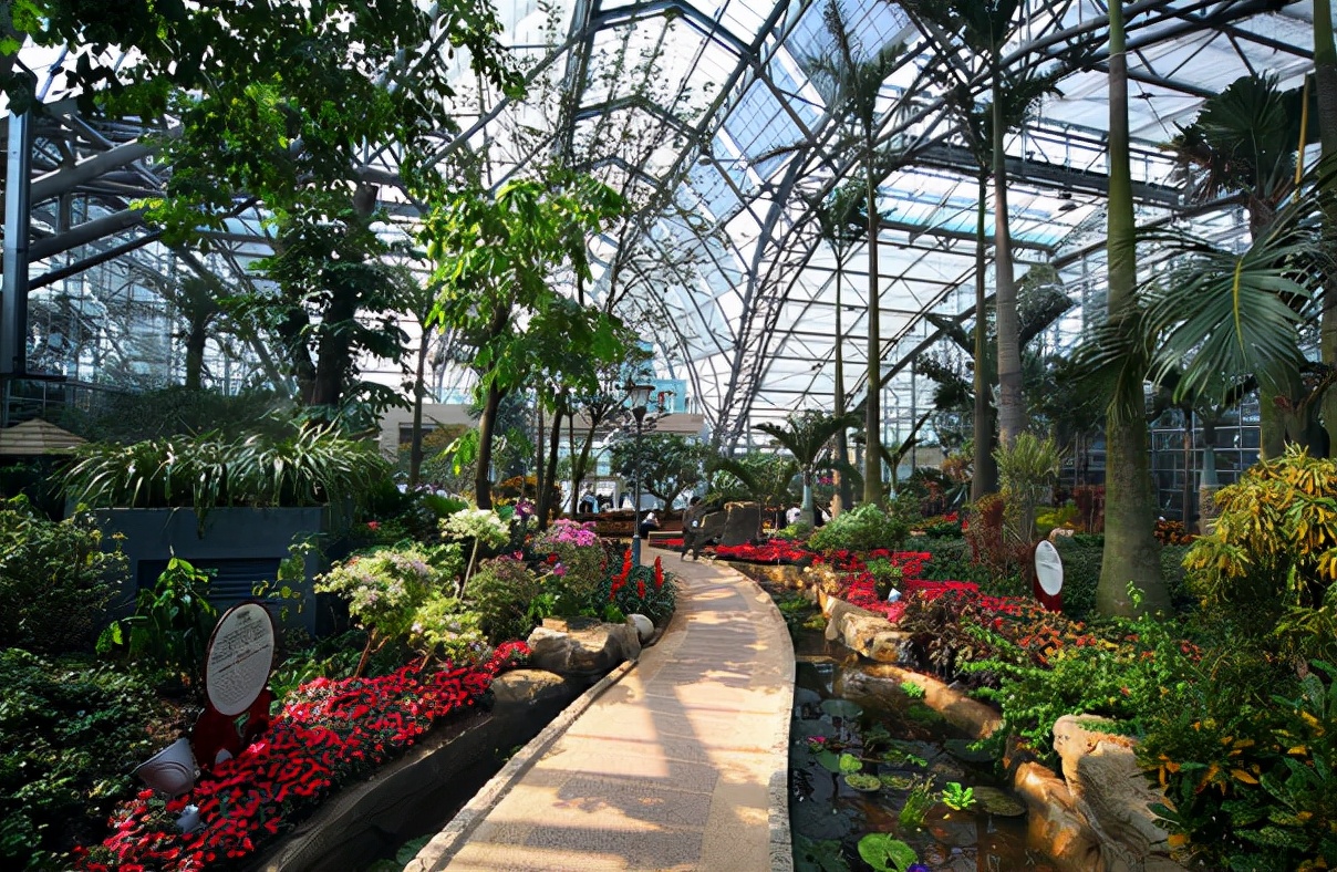 重庆市南山植物园门票是多少钱,南山植物园免门票范围