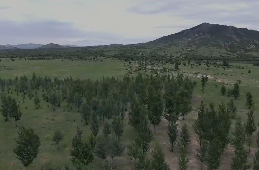 郭俊卿的英勇事迹简介,特等功臣郭俊卿