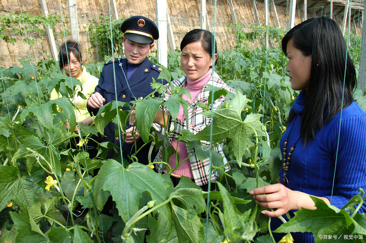 农民专业合作社农业产业发展,新时代农村合作社发展的思路