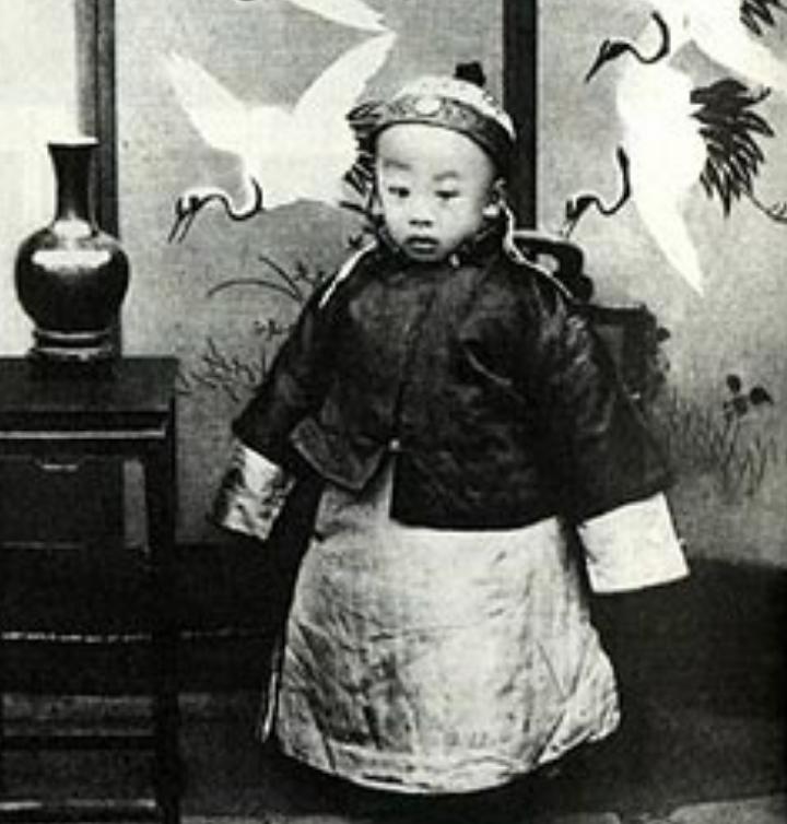 溥仪的谥号和庙号怎么确定的,爱新觉罗溥仪的庙号和谥号