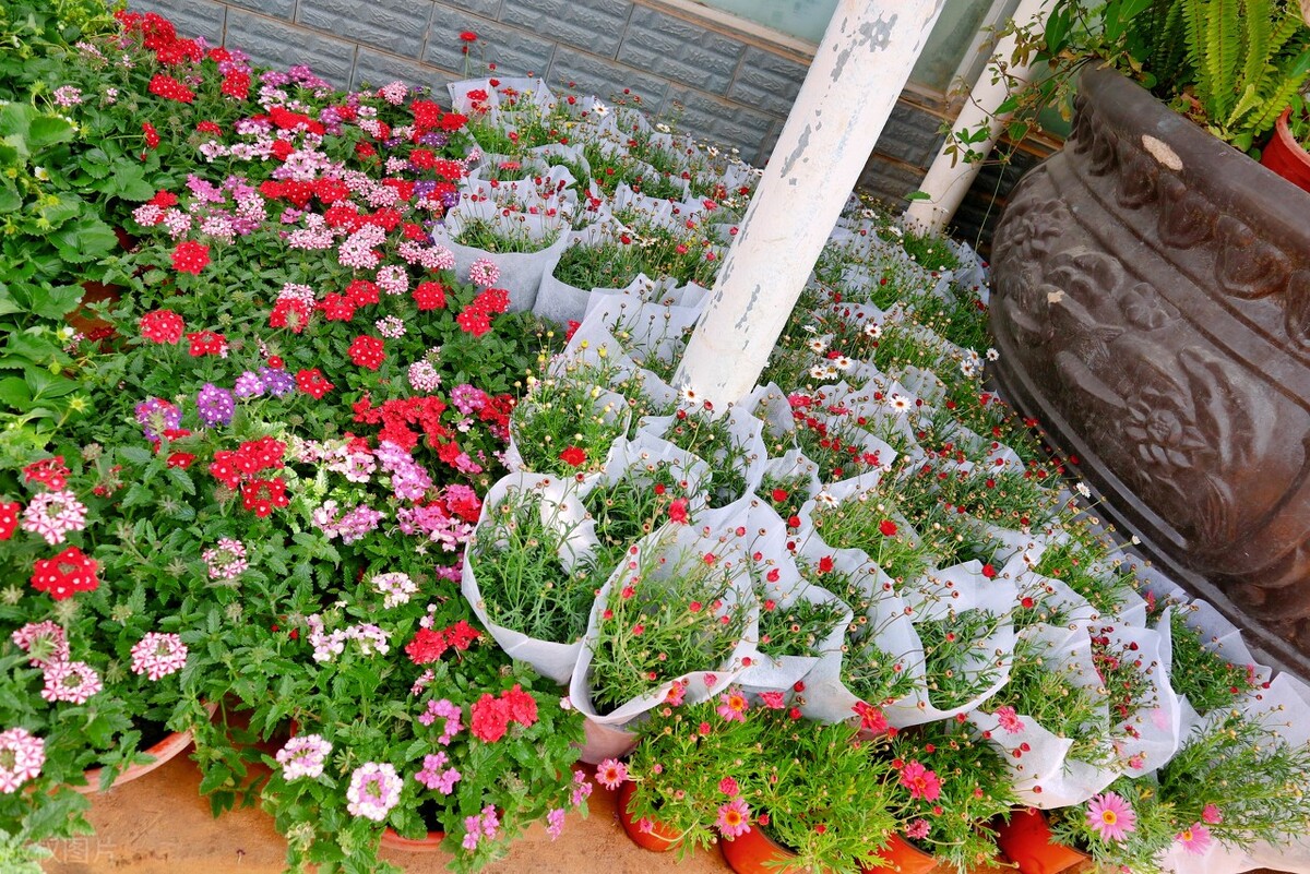 昆明及昆明周边景点,去昆明旅游攻略必去景点最新