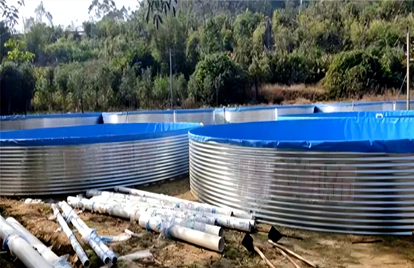 帆布鱼池淡水养殖应具备什么条件,镀锌板帆布鱼池养甲鱼周期