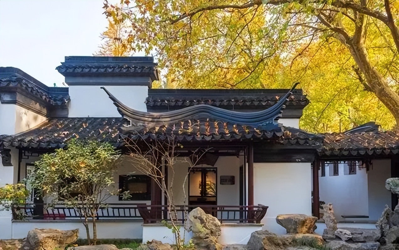 南京的法国梧桐秋天图片,南京法国梧桐秋天