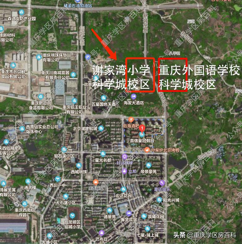 这所“低调”的七龙珠，终于还是来了科学城