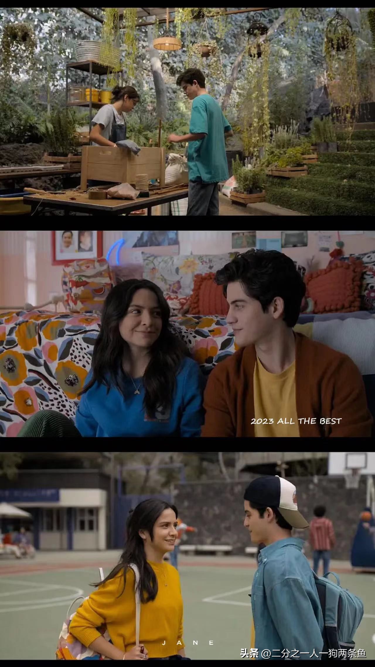 温暖感人的小众爱情电影,最催人泪下的爱情电影推荐