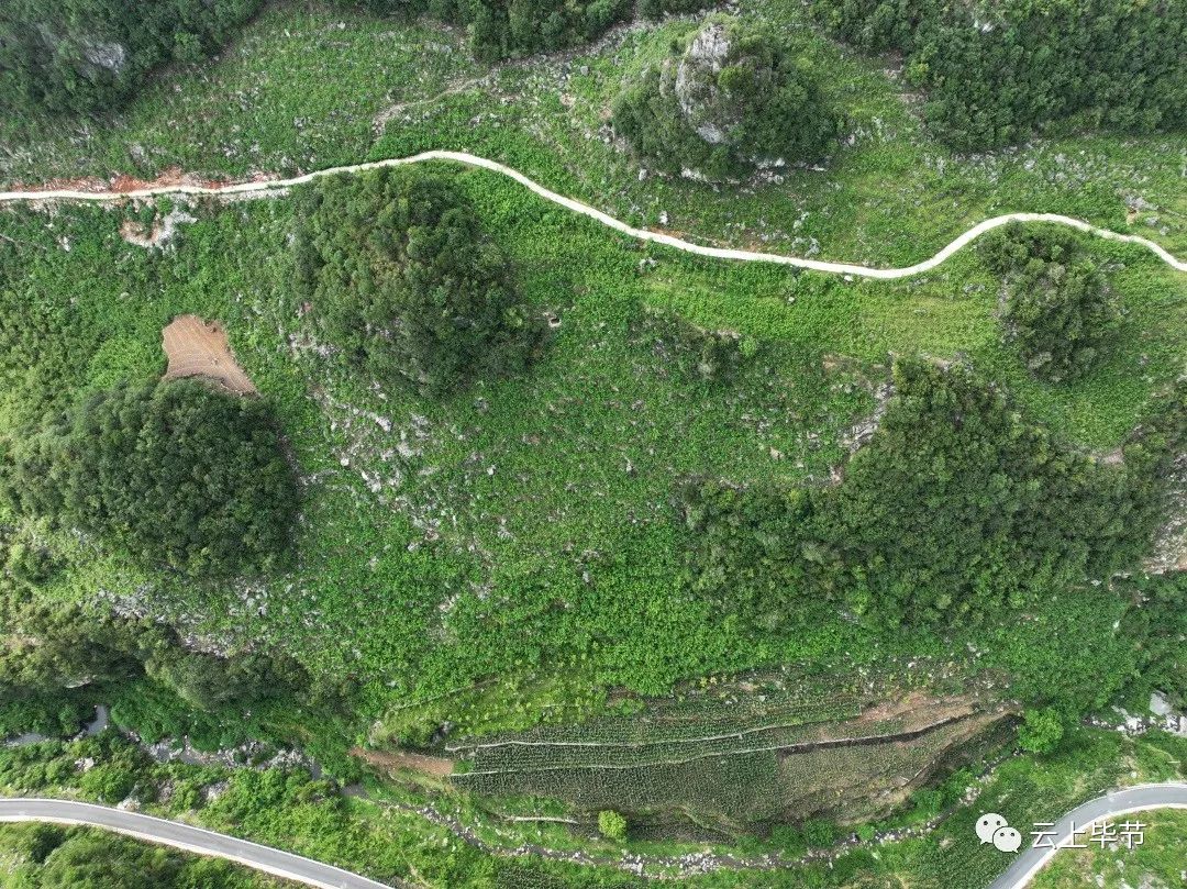 痛心贵州36岁民警牺牲在工作岗位,痛心年仅29岁辅警倒在工作岗位上