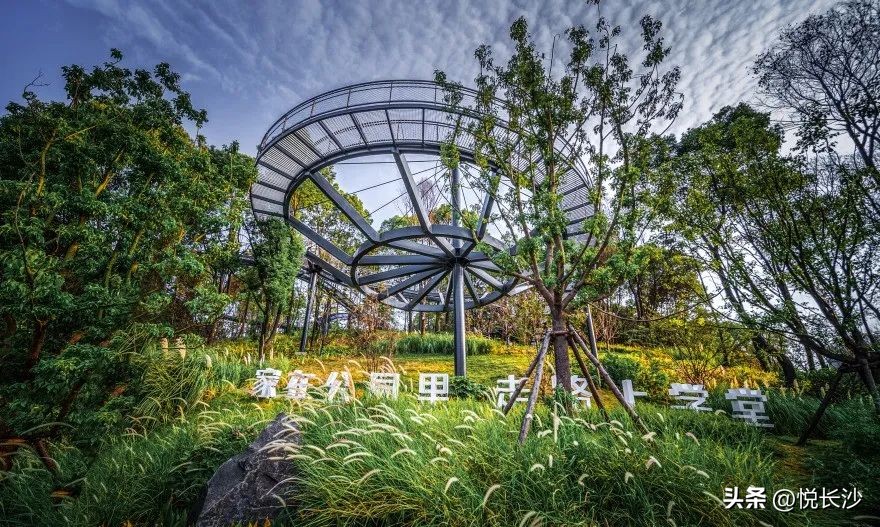 从『万科式』热销，看森林人居的高光热望！