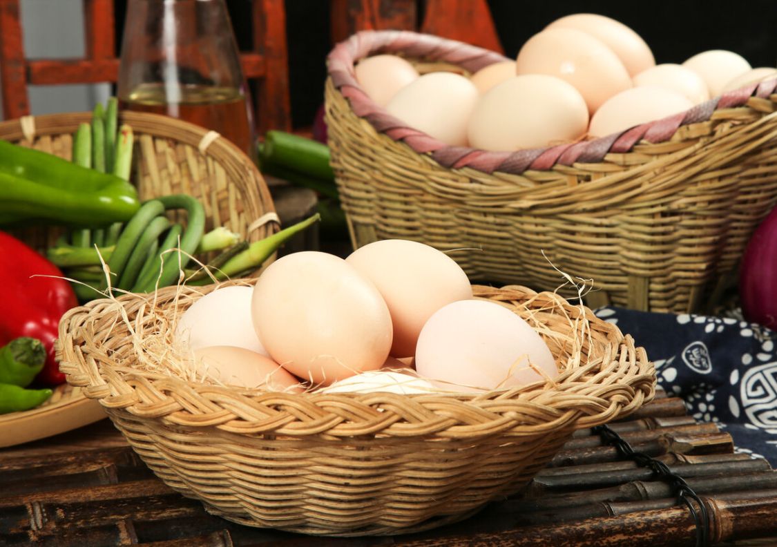 白壳鸡蛋和红壳鸡蛋哪个贵点,白壳鸡蛋红壳鸡蛋哪种营养价值高