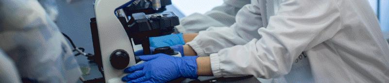 新策略提升钙钛矿太阳能电池性能,钙钛矿太阳能电池的性能提升方法