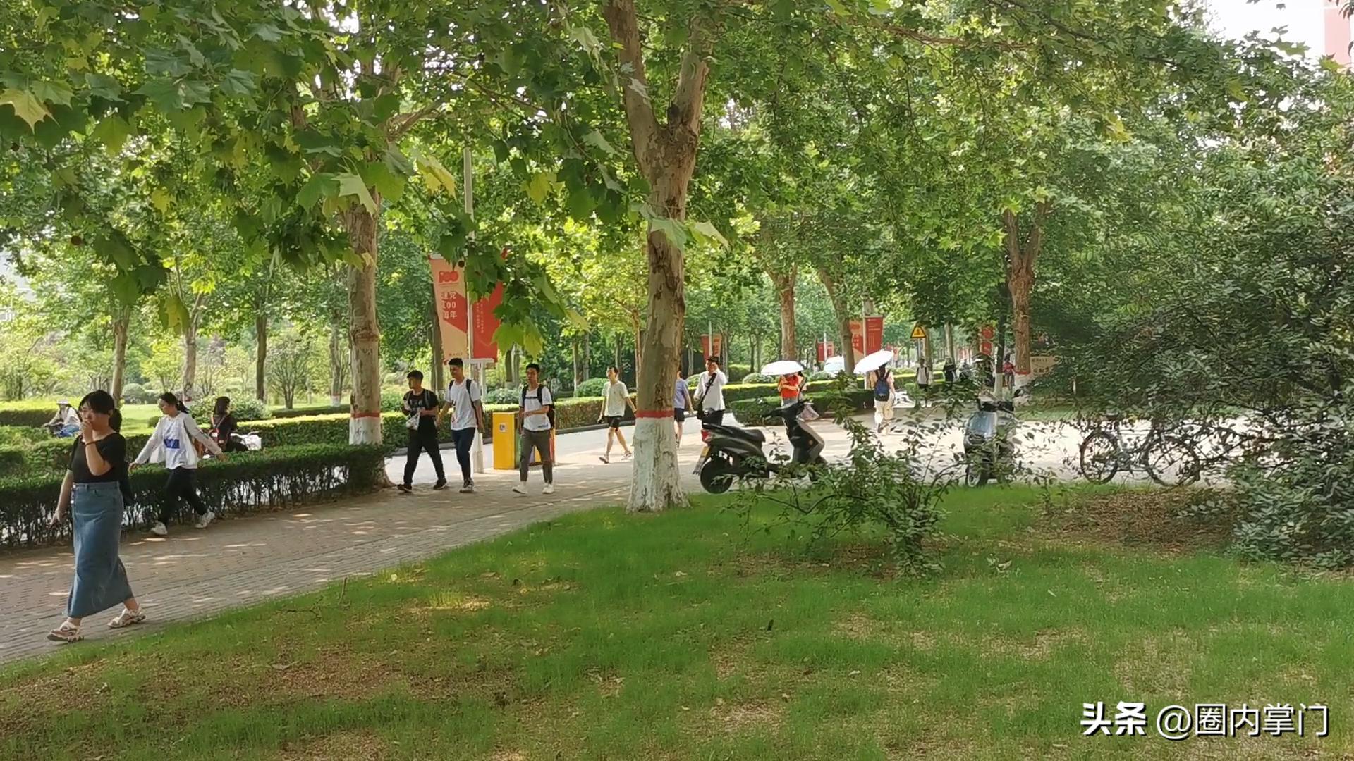 与其说都上大学了，谁回去种地，不如说何不食肉糜？