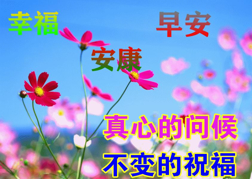 早安语录正能量朋友圈短句子图片,早安心语图片2022