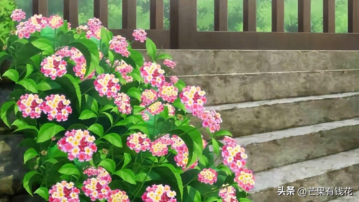 新手怎么学炒股赚钱,新手如何炒股不亏本