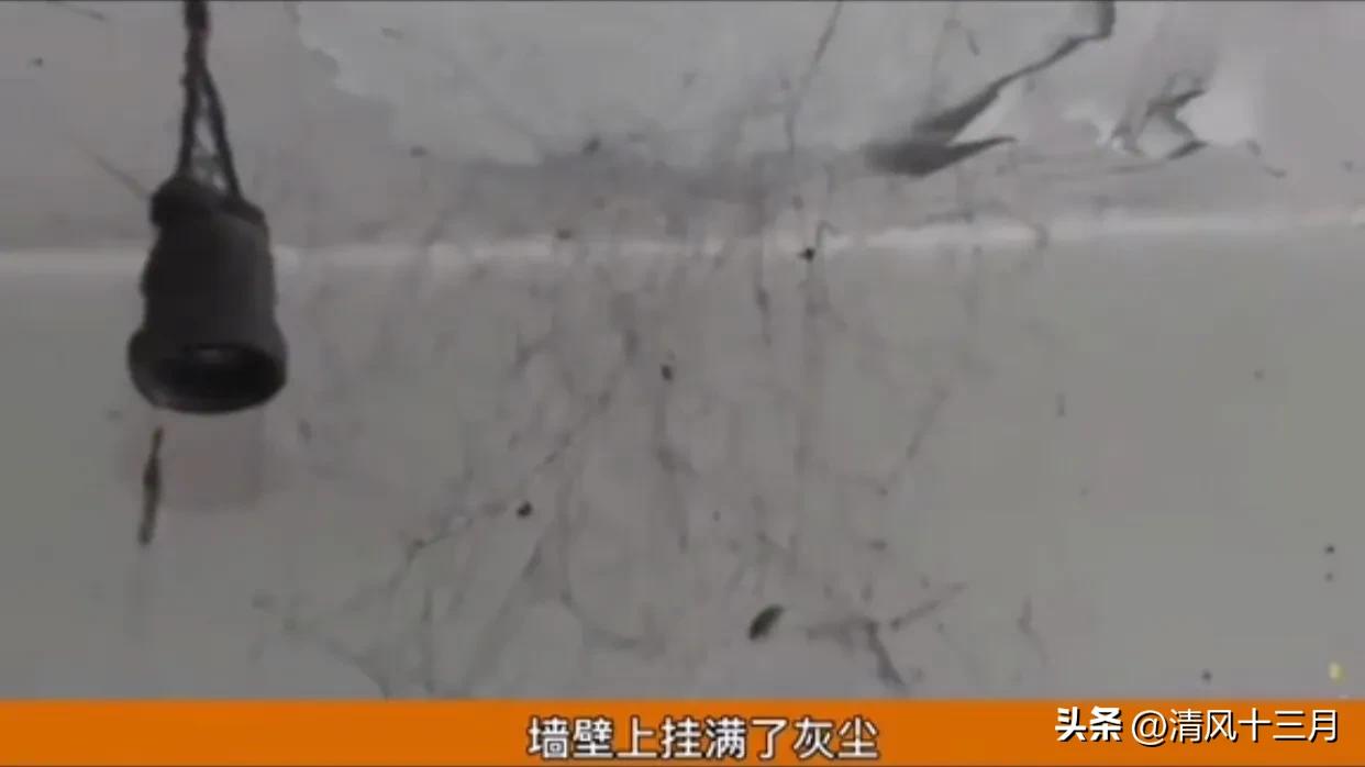 出租房租客不搬离怎么办,房屋出租他不给租金又不走怎么办