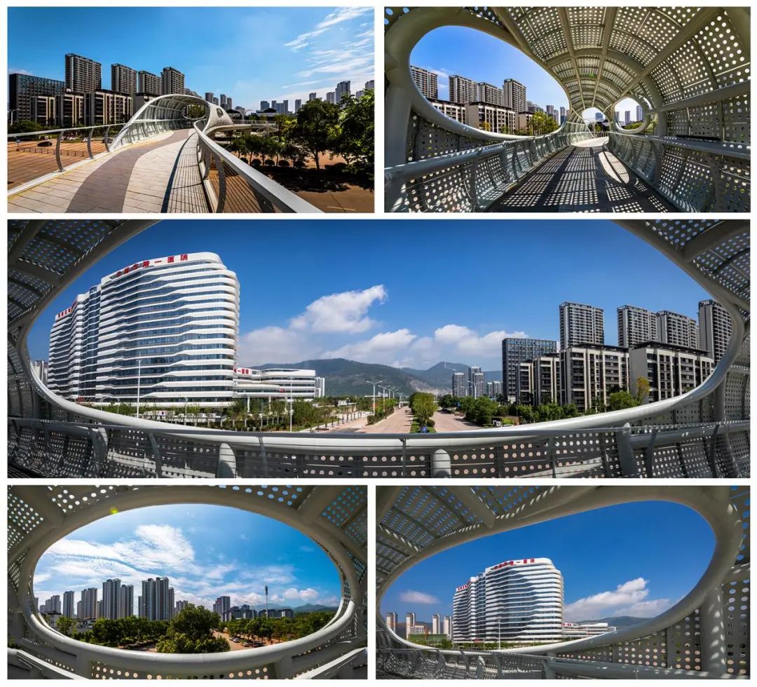 定格美好瞬间校园摄影大赛,2021年定格最美瞬间摄影大赛