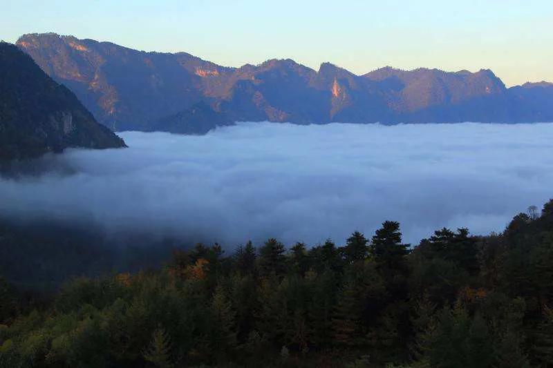 早知甘肃有陇南何必下江南谁写的,陇南的山水到底有多美