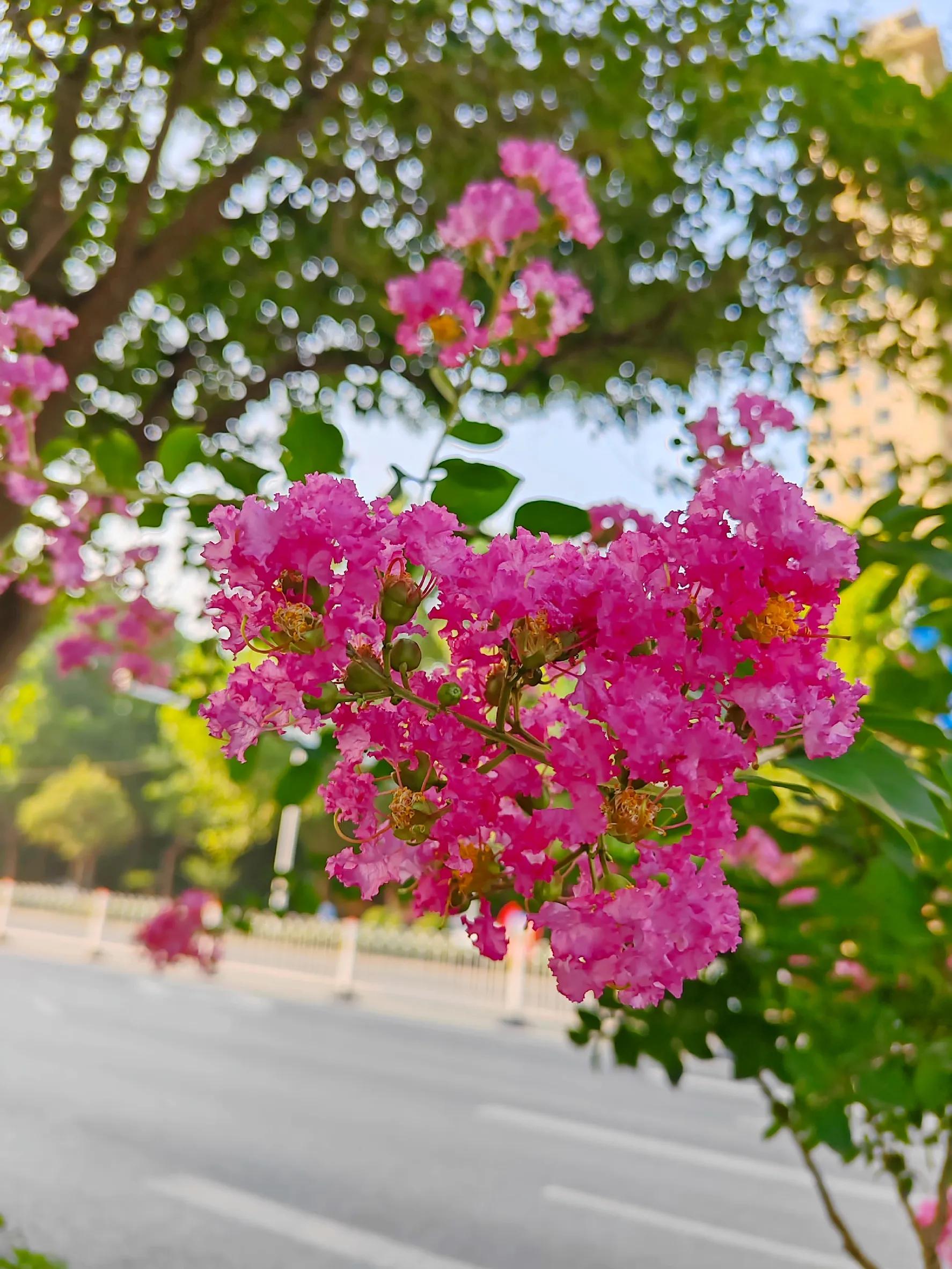 生日快乐图片,生日快乐专用视频