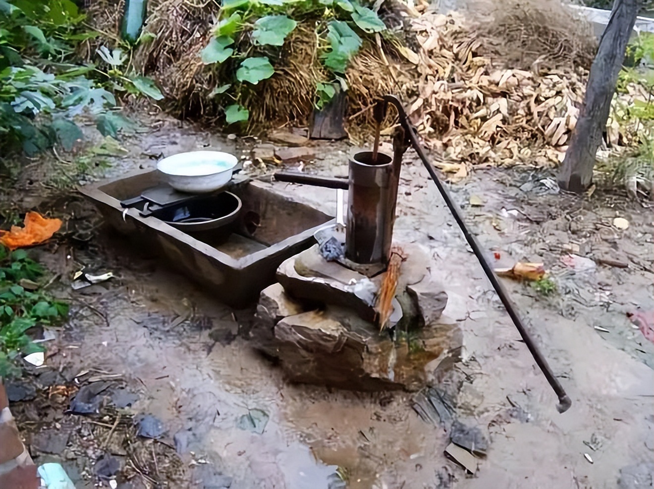 梦露惊艳写真图,女神梦露写真