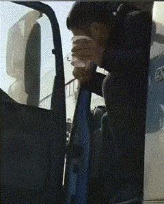 新手为什么不养鳄龟,养了一年的鳄龟怎么一点都不凶