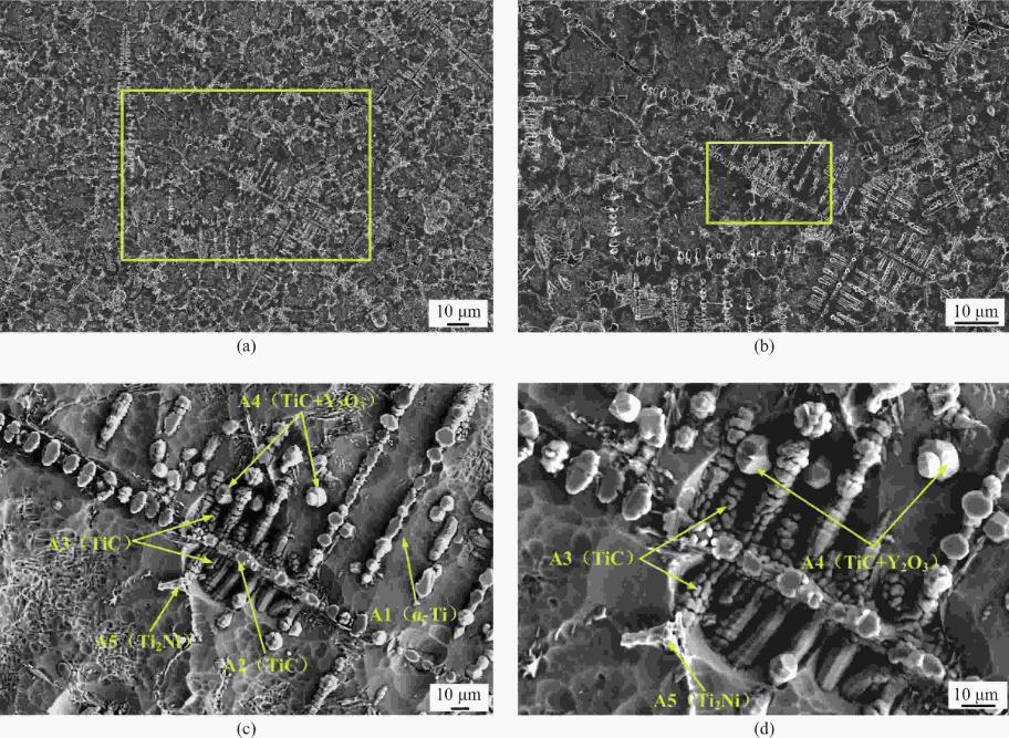飞秒激光器激光强度改小可以吗,飞秒脉冲激光实现多光子吸收