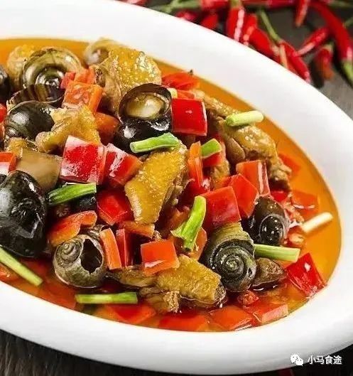 20种鸡肉做法大全抖音,10种鸡肉的做法大全