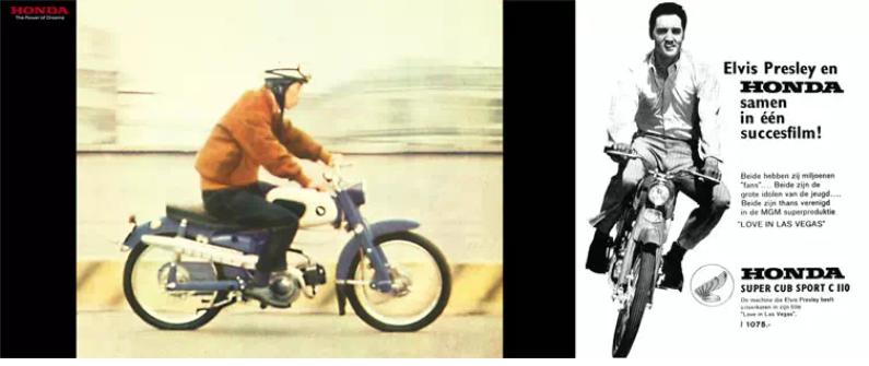 二轮考古学-本田幼兽编年史合集（1952-今）