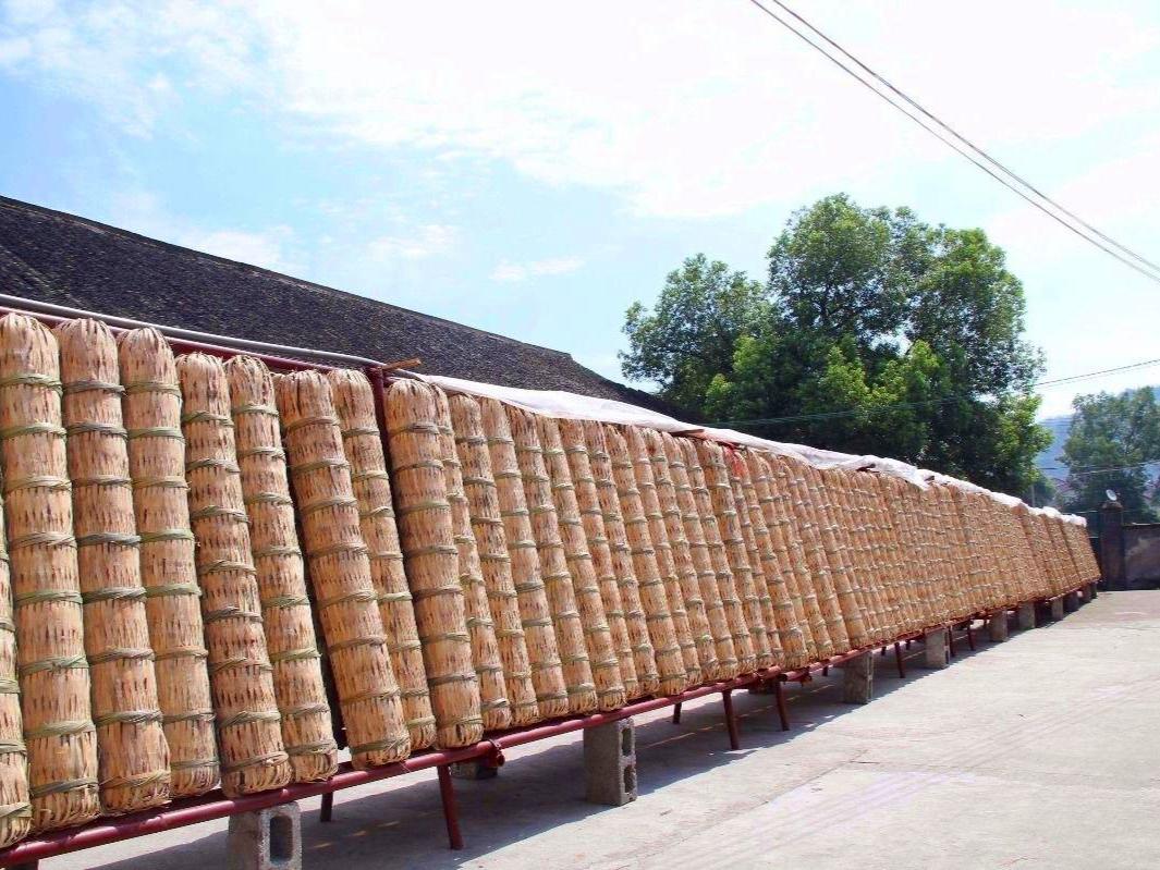 为什么能做到人均80斤茶叶？不产茶的东莞，为何如此“狂热”？