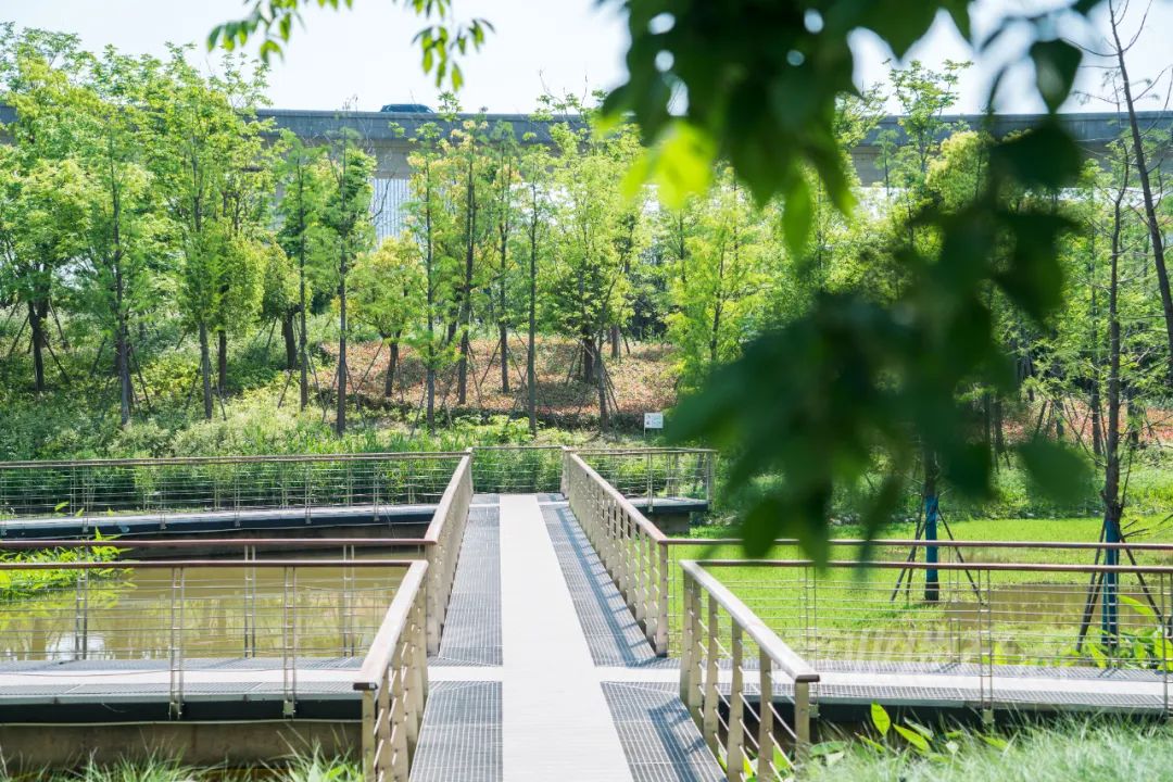 CRR百图斩｜公园里的新天地：上海蟠龙天地