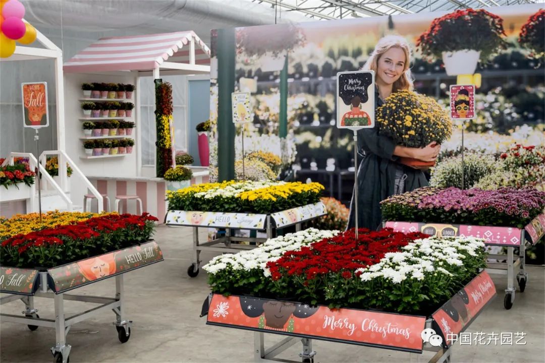 鑺卞崏鍝佺灞曠ず,鏂颁紭鑺卞崏鍝佺灞曠ず