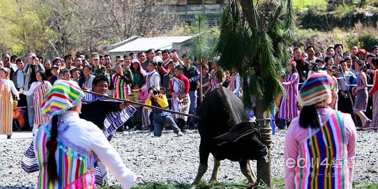 独龙族基因图谱,独龙族基因是什么