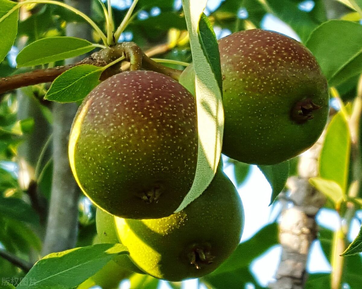 零星记忆扑面而来,零星散落的记忆