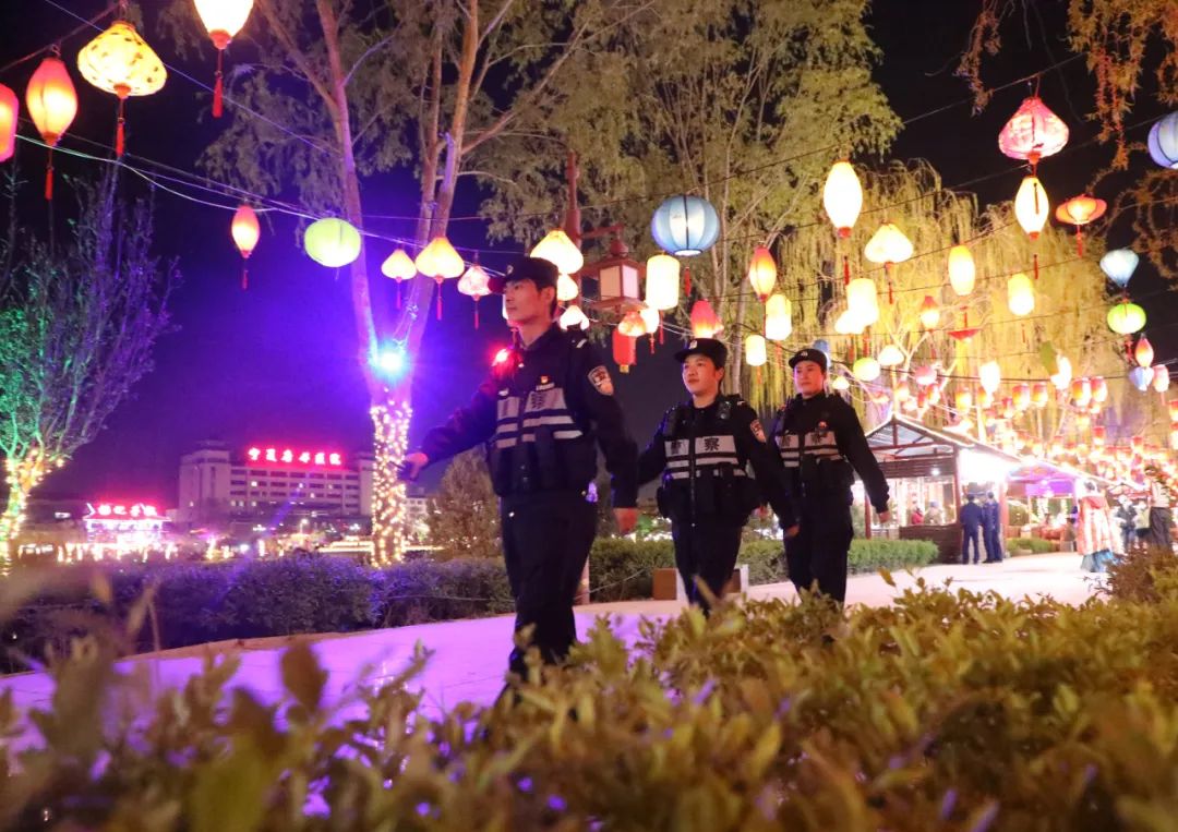 宁夏公安部署治安整治行动,宁夏公安夏季严打整治专项行动