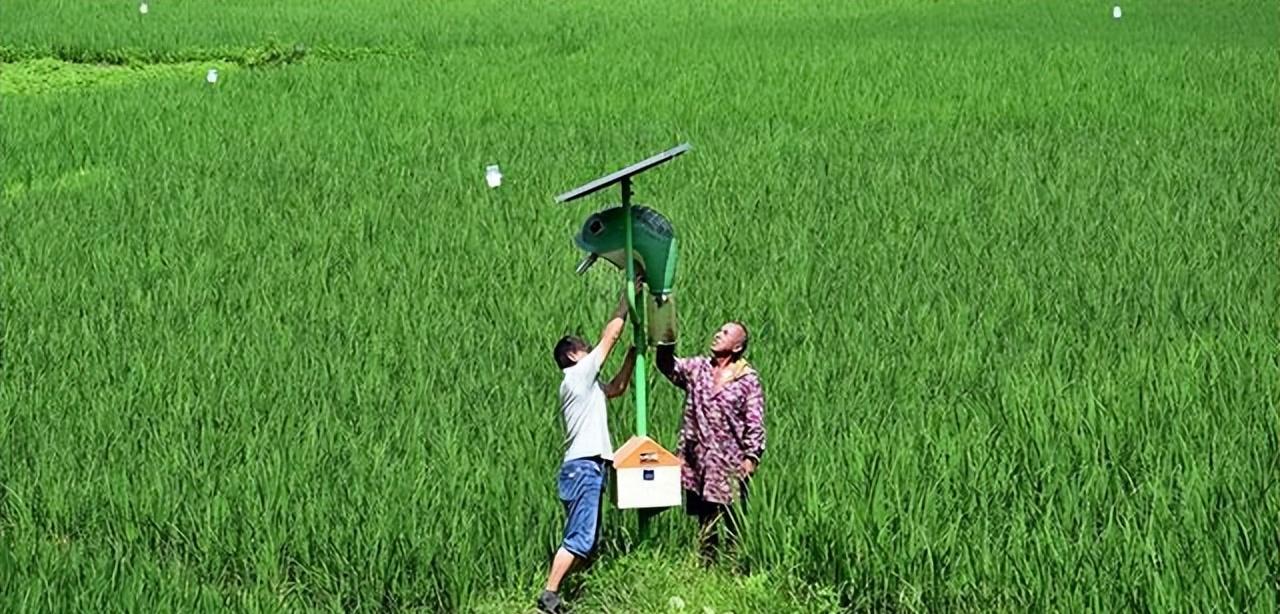 植保黑科技助力绿色农业,栽培技术植保技术决定农产品质量